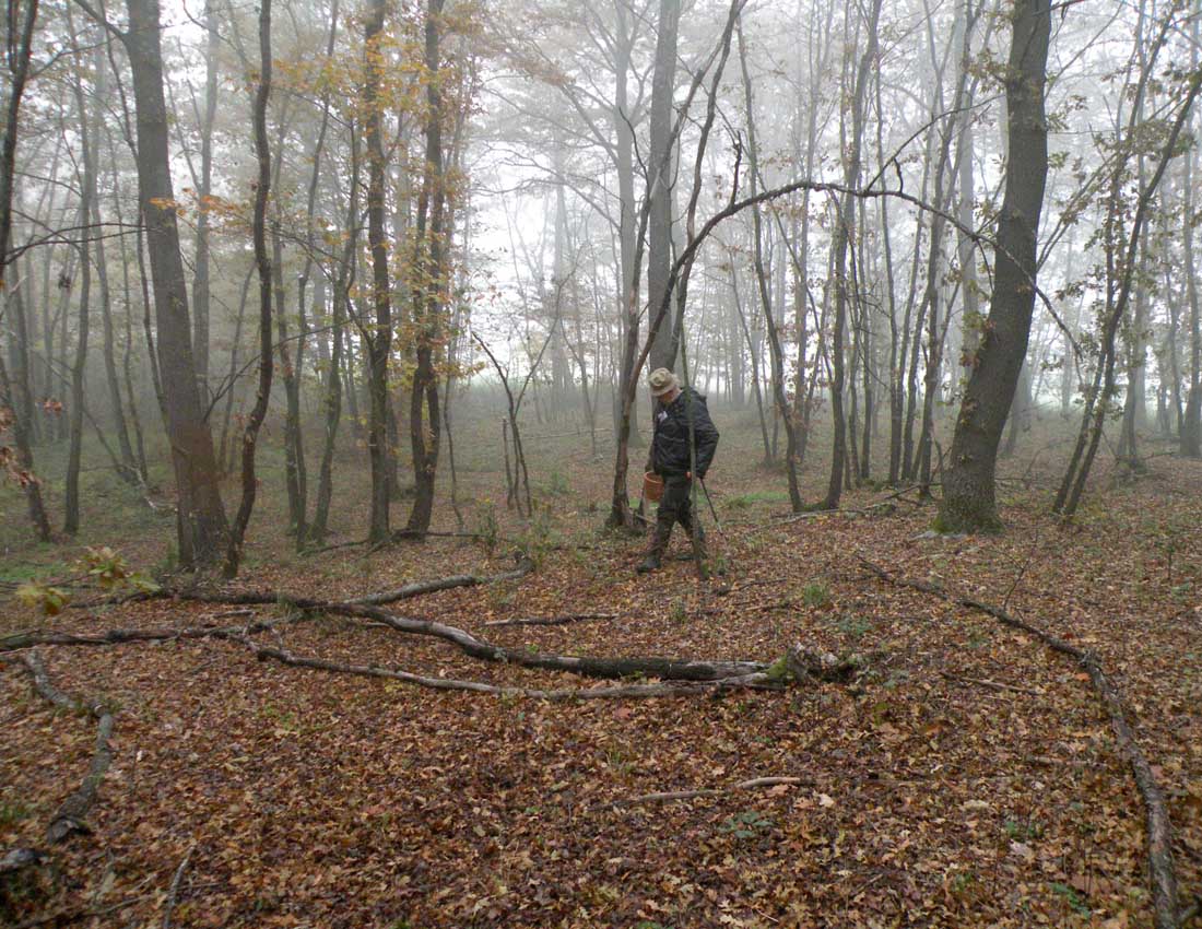 Nei boschi di Ulderico